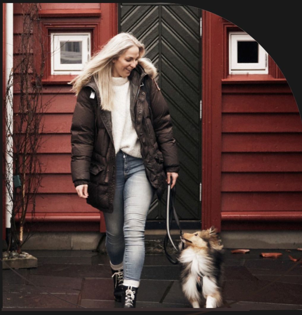 Person reading at home with cat